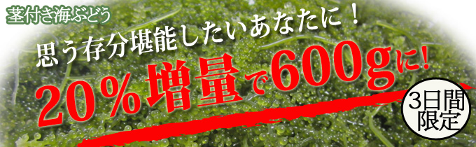 茎つき600g