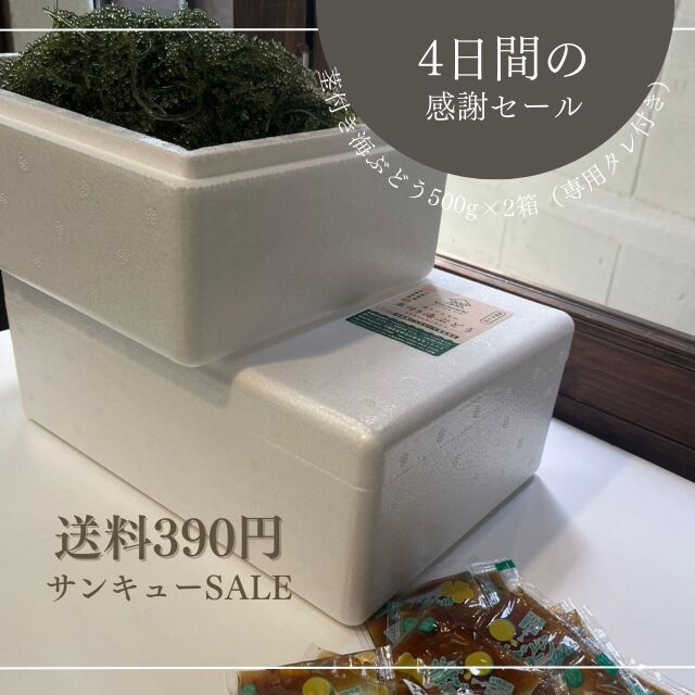 送料390円セール