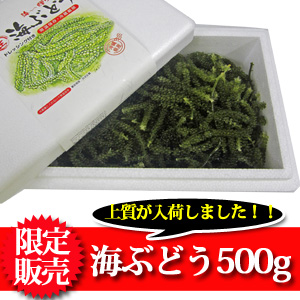 akb商品画像