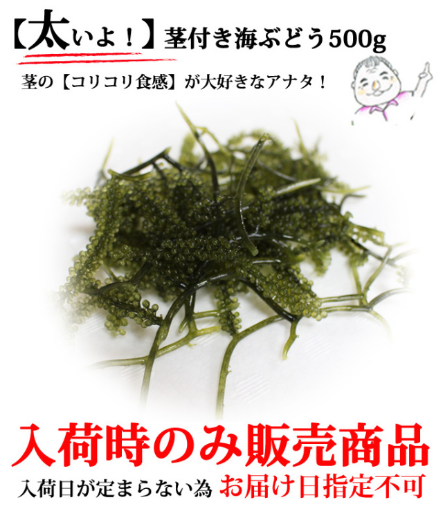 太いよ茎付き