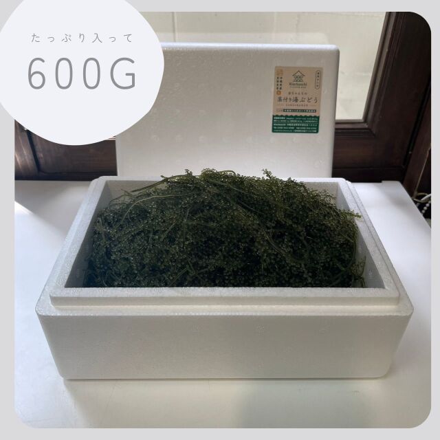 茎600g