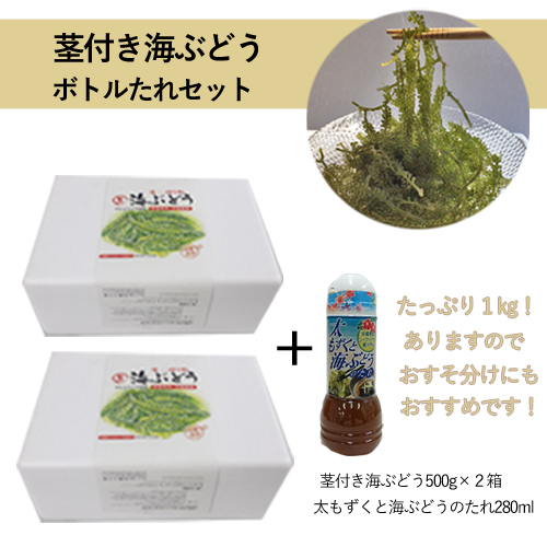 茎付きタレセット