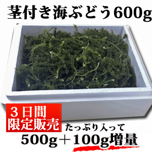 茎付き600g