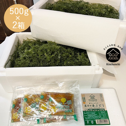 お客様の声 島食専門店kinchanchi | 海ぶどうと島食専門店 金