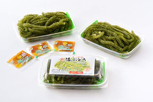 海ぶどう3パックセット