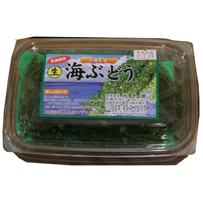 海ぶどう