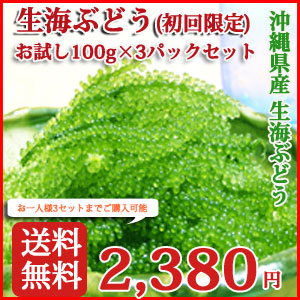 お試し
