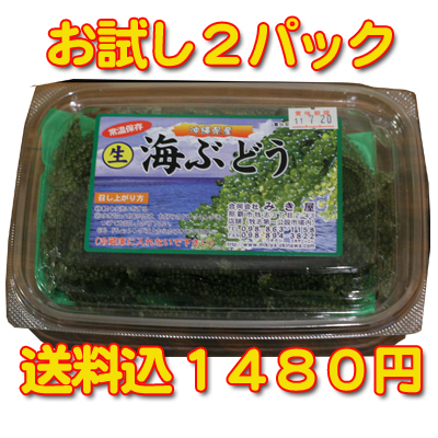 海ぶどう