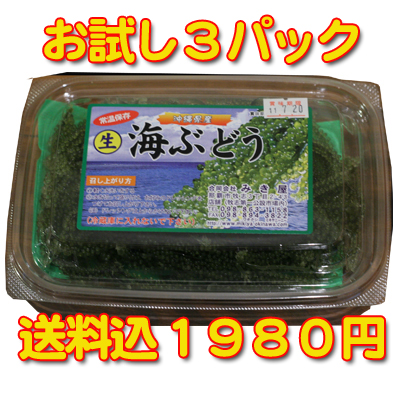 海ぶどう