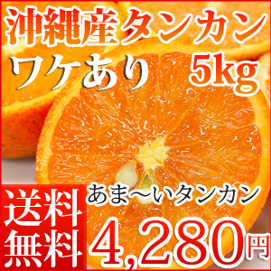 タンカン5kg