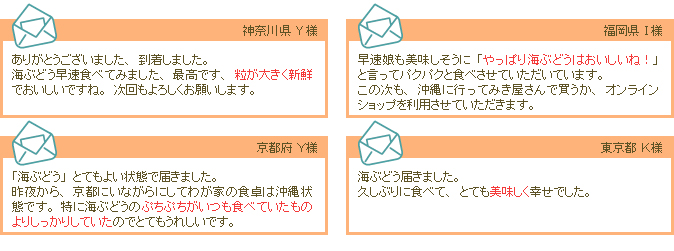 目利きで選ぶ安心と信頼