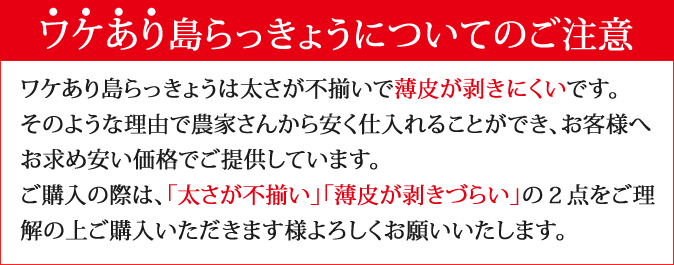 島らっきょう　ワケあり注意点