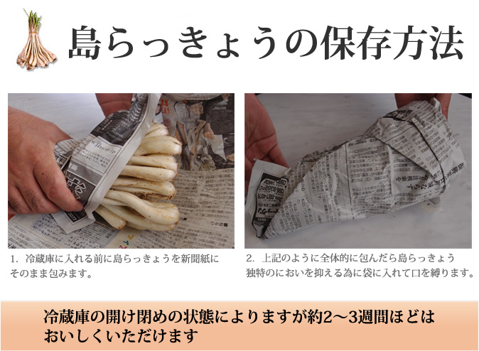 送料無料 ワケあり島らっきょう 土付き 1kg 海ぶどうの通販なら Kinchanchi 送料無料 ワケあり島らっきょう 土付き 1kg 海ぶどうの通販なら Kinchanchi