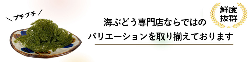 海ぶどうカテゴリー