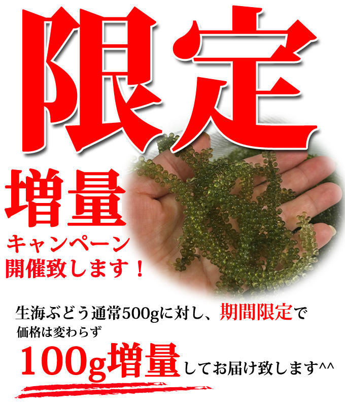 A100g増量