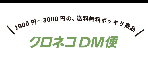 1000円〜3000円の、送料無料ポッキリ商品