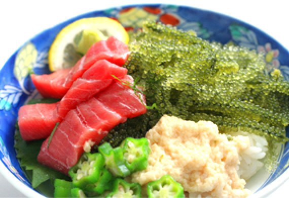 マグロととろろの海ぶどう丼