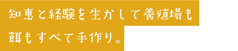 知恵と経験を生かして養殖場も餌もすべて手作り。