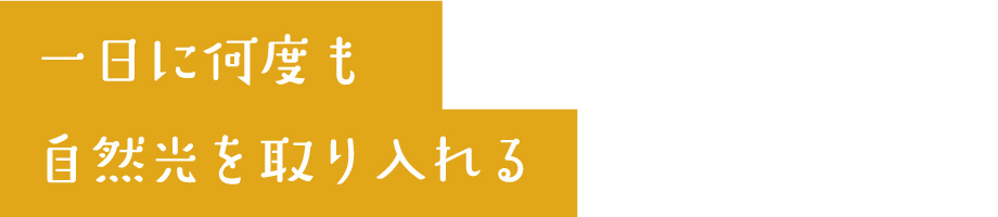 生産者に、美味しい海ぶどうの生産と秘訣についてを金ちゃんが聞いてきました。